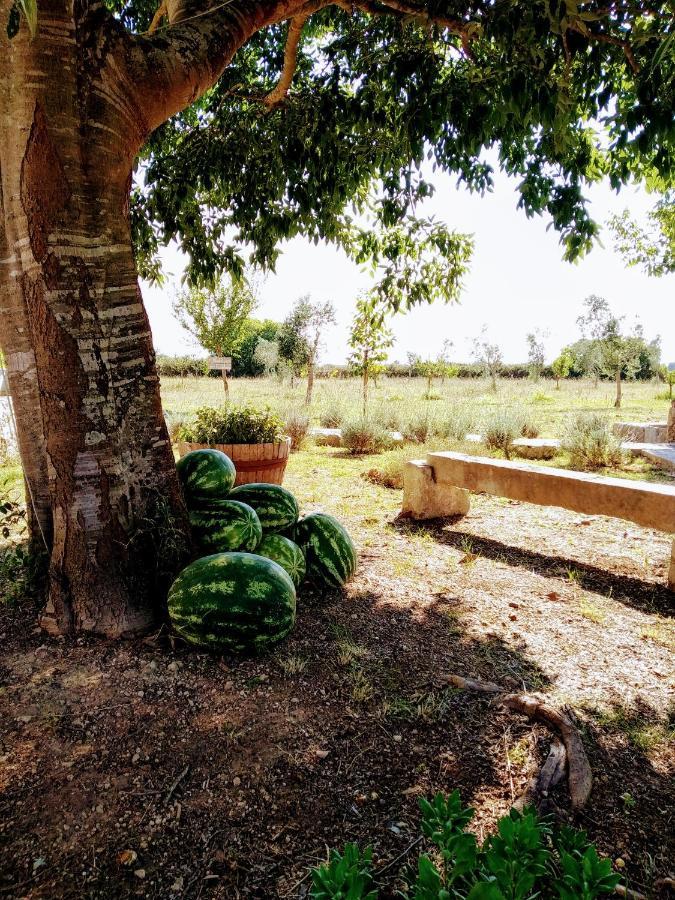 Masseria Cataldo Corigliano dʼOtranto Eksteriør billede