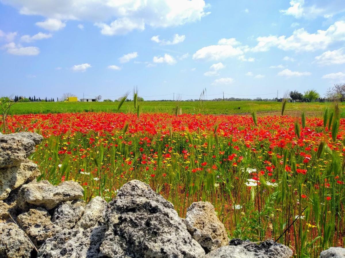 Masseria Cataldo Corigliano dʼOtranto Eksteriør billede