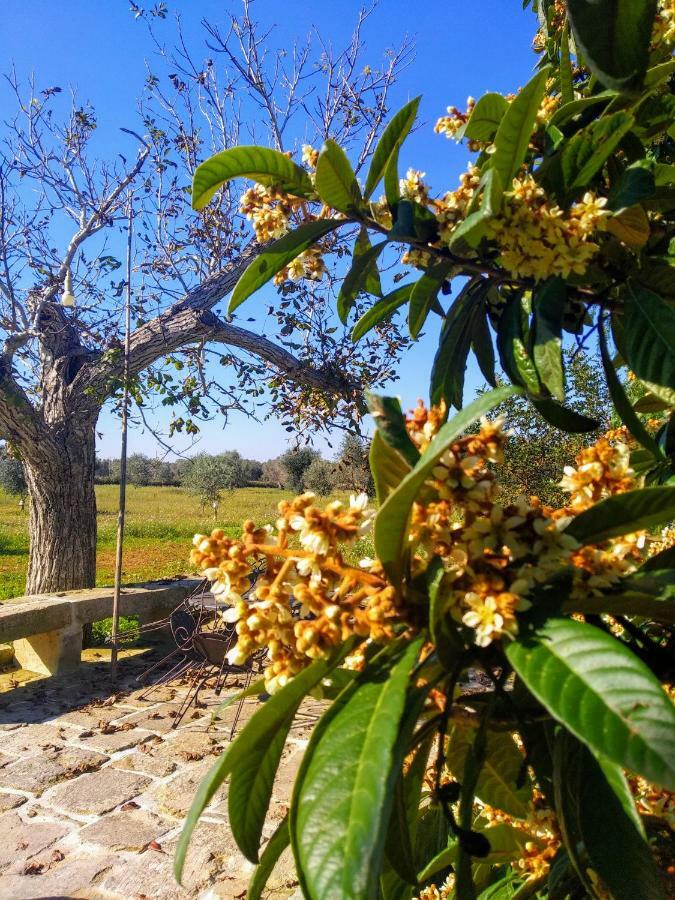 Masseria Cataldo Corigliano dʼOtranto Eksteriør billede