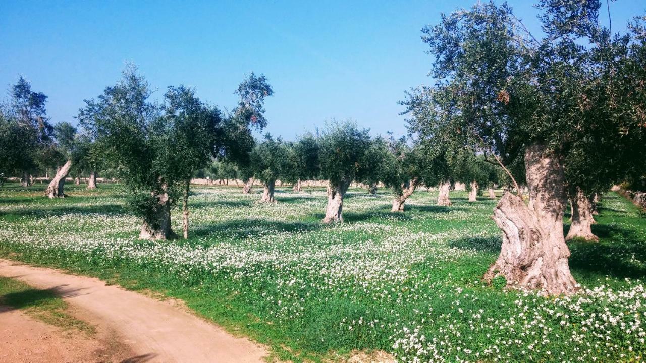 Masseria Cataldo Corigliano dʼOtranto Eksteriør billede